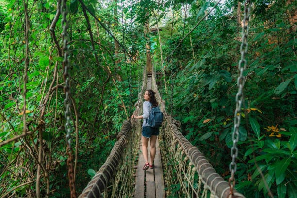 Solo travel and its popularity